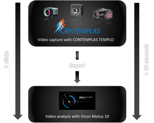 TEMPLO video capture Motus motion analysis